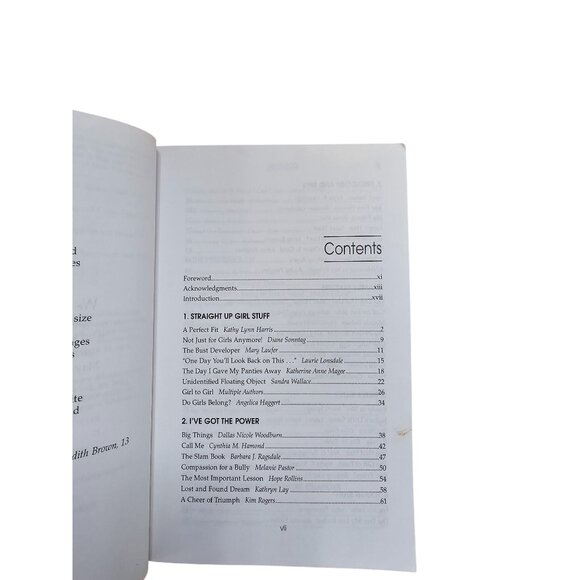 Chicken Soup For The Girls Soul Book By Jack Canfield & Mark Victor Hansen - Picture 2 of 6